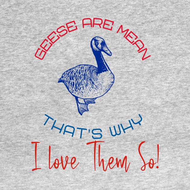 Geese Are Mean  -- That's Why I Love Them So! by LeftBrainExpress